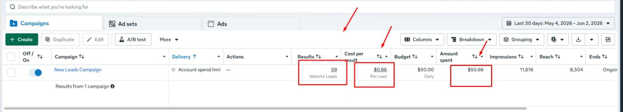 Financial leads campaign results